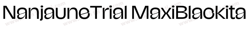 NanjauneTrial MaxiBlackitalic字体转换